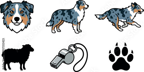 Flat vector australian shepherd head standing running and profile poses herding dog chasing sheep whistle paw icons blue gray cute