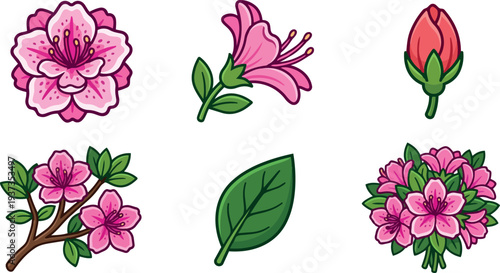 Flat design close up pink azalea flower set with bud branch leaf bouquet in cartoon vector style vibrant mood spring