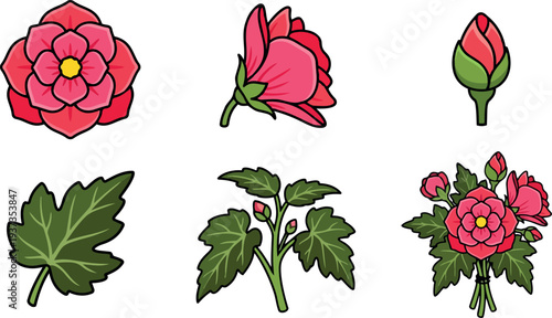 Flat design close up pink camellia flower icons set showing bud bloom leaf stem and small bouquet on white background