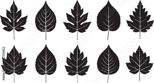 Collection of various leaf silhouettes