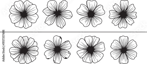Free vector flower coloring pages for children and kids book illustration