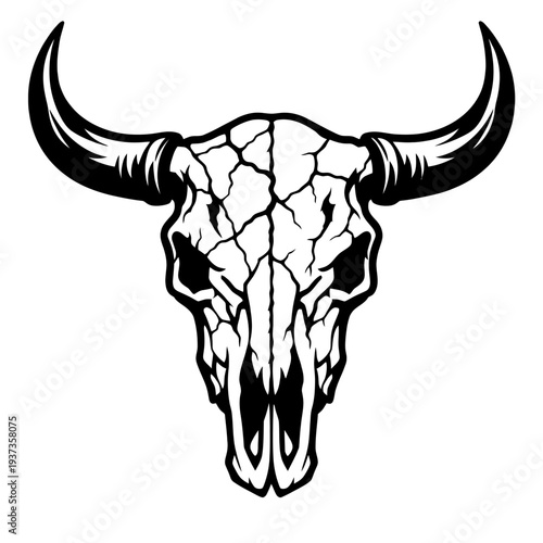 Black and white illustration of a bull skull with cracked texture and curved horns, symbolizing strength and wildness