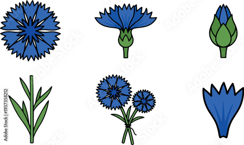 Flat design close up cornflower icons set six floral elements blue petals stems buds simple vector art outline style isolated