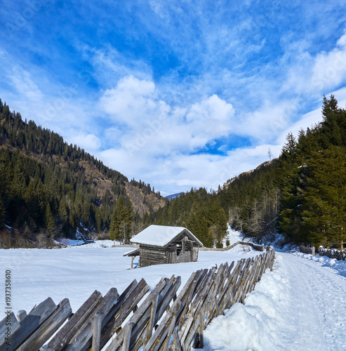 Wallpaper Mural Beautiful winter hike in the Hollersbach Valley, in the Salzburg region near Bramberg, Austria. Torontodigital.ca