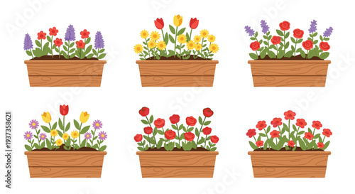 Six identical wooden planter boxes are neatly arranged, each containing a vibrant assortment of different colorful flowering plants.