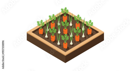 An isometric view depicts a square raised garden bed filled with dark brown soil, showcasing neatly arranged rows of carrots and green onions.