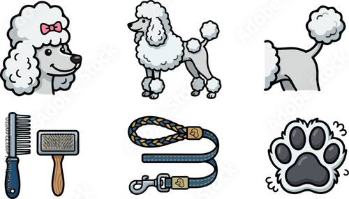 Colorful cartoon poodle icons set close up head full body tail paw grooming tools leash comb brush flat vector art