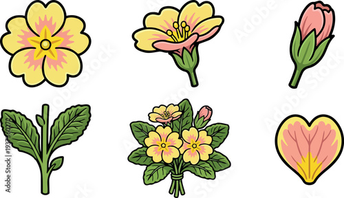 Flat design primrose floral sticker set close up bouquet buds individual bloom leaf stem heart petal bright lighting pastel vector