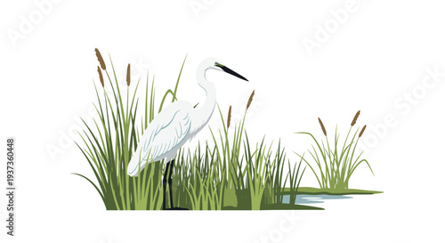 A pristine white egret stands partially hidden within a dense cluster of vibrant green reeds and brown cattails with a small puddle.