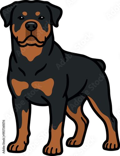 Flat design front facing rottweiler standing alert three quarter view black and tan coat muscular build looking at viewer minimal