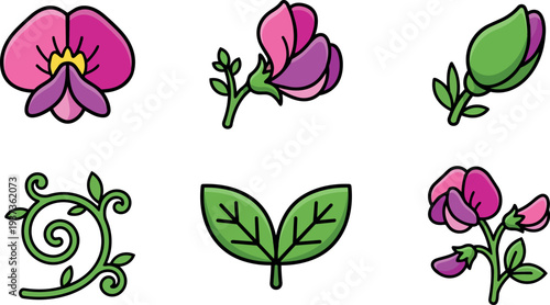 Flat design sweet pea flower icons close up three buds two blossoms and decorative leaf swirl vector art bright playful