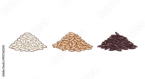 Three distinct, elongated piles of white, brown, and black rice varieties are neatly arranged horizontally on a clean white background.