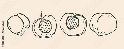 Whimsical doodle peach fruit set with half and slices. Collection of ripe apricot elements in flat bold style. Natural healthy fresh food.
