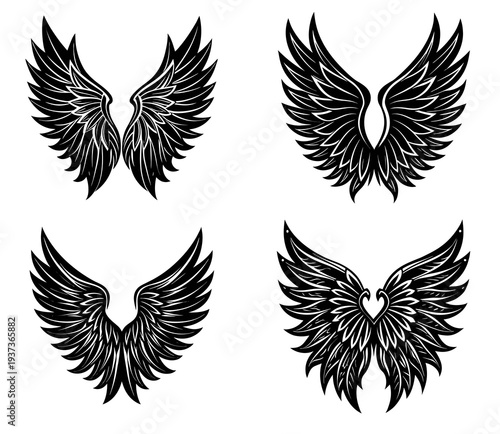 A compilation of four black and white featuring different styles of feathered wings, each with unique symmetrical and detailed textures, on a white background