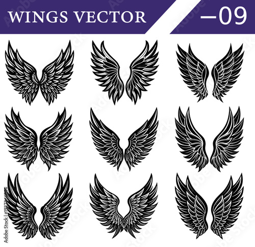 A curated set of nine unique black and white featuring feathered angel or bird wings with intricate detailing and diverse forms presented in a grid layout for purposes Keywords: wings, angel