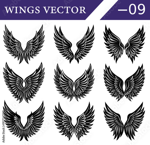 A compilation of nine distinct black and white showcasing a variety of feathered wing meticulously detailed and arranged in a three by three grid format on a white background