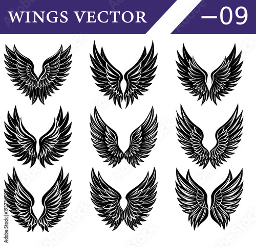 A collection of nine distinct black and white of feathered wings arranged in a three by three grid each with unique feather detailing and symmetrical Keywords: wings, black, white, feathers