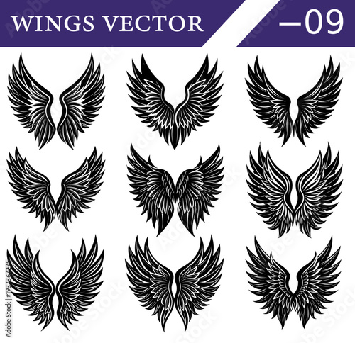 A compilation of nine unique black and white depicting feathered wings in diverse symmetrical formations, highlighting intricate feather patterns and graceful outlines decorative purposes and