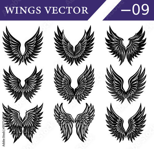 Collection of nine distinct black and white of feathered wings arranged in a three by three grid each with unique feather detailing and symmetrical for use Keywords: wings, black, white, set