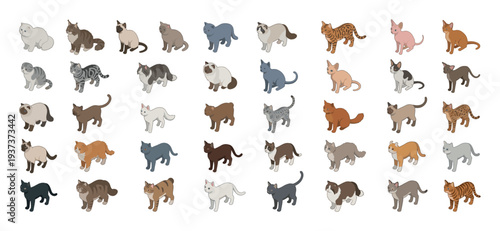Collection of diverse cartoon cat breeds and colors in a repeating pattern