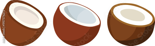 Three cut coconut halves with white flesh tropical fruit vector illustration for food design