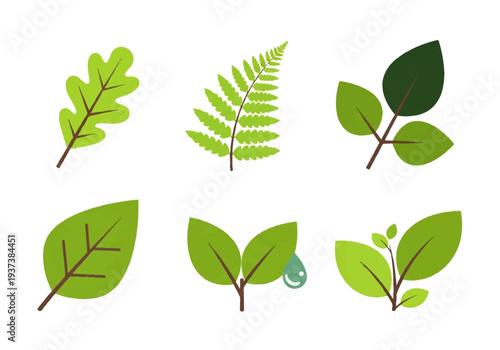 Vector flat design illustration of various green leaves and leafy branches on a white background.