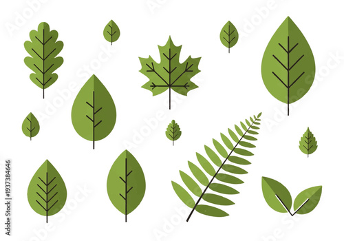 Vector flat design illustration of various green leaves on a white background with a minimalist style.