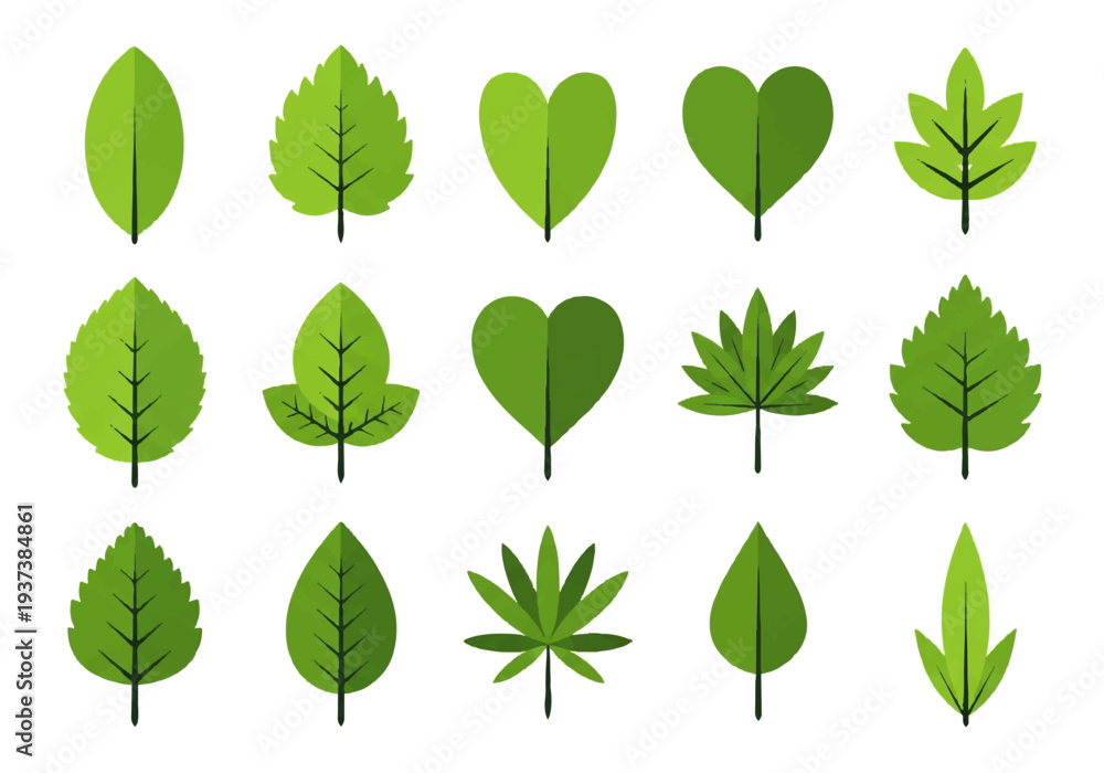 Fototapeta premium Vector flat design illustration of various green leaves in different shapes and sizes on a white background.