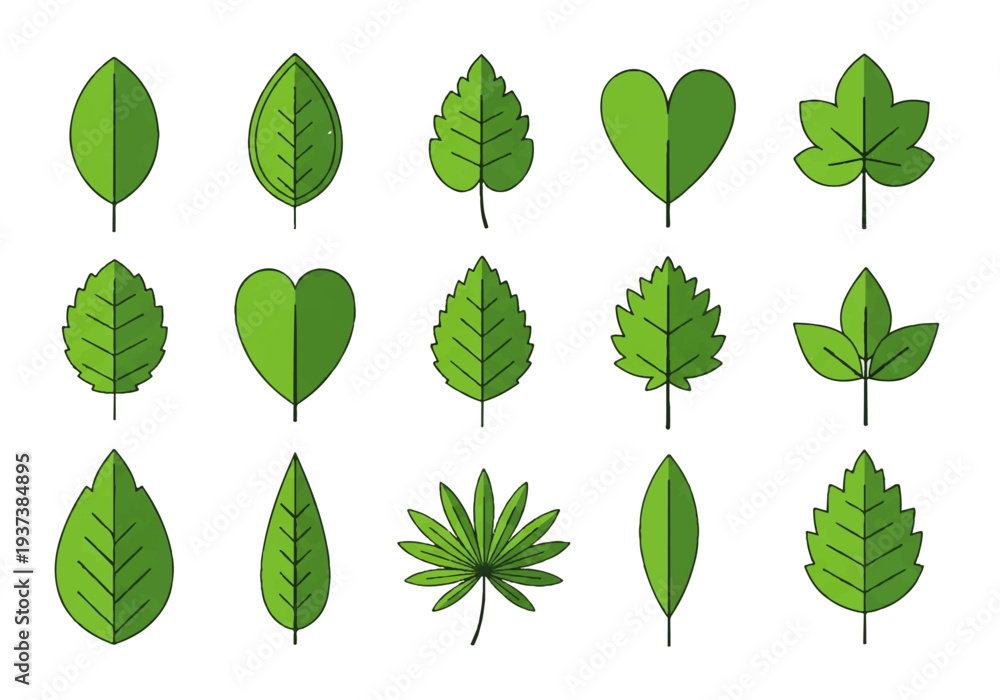 Fototapeta premium Vector flat design illustration of various green leaves in different shapes and sizes on a white background.