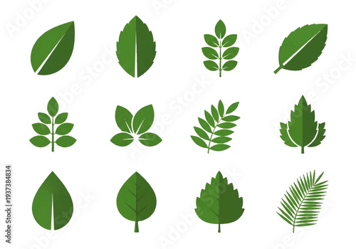 Vector flat design illustration of various green leaves in different shapes and sizes, arranged in rows on a white background.