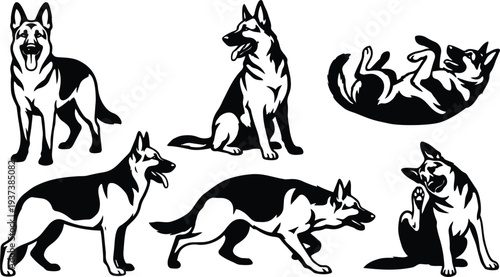 Vector art german shepherd multiple poses standing sitting rolling playful running stalking profile set bold silhouette black outline high contrast