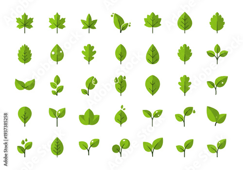 Vector flat design illustration of various green leaves on white background, showcasing different shapes and types in a simple, graphic style.