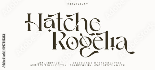 Elegant serif font with modern flourishes and clean structure, perfect for timeless editorial and fashion branding