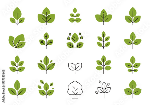 Vector flat design illustration of various green leaf icons in different shapes and sizes on a white background.