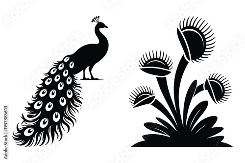 Peacock Bird and Venus Flytrap Plant Silhouettes