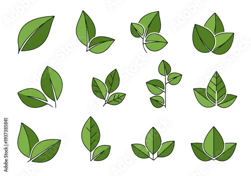 Vector flat design illustration of various green leaves in different shapes and sizes on a white background.