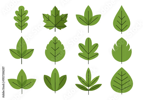 Vector flat design illustration of various green leaves in different shapes and sizes against a clean white background.