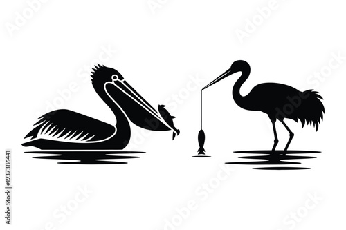 Pelican and Stork Catching Fish - Wetland Birds Silhouette Vector