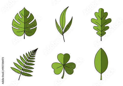 Vector flat design illustration of six different green leaves on a white background.