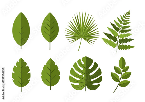 A collection of various green leaves on a background video, showcasing different types of foliage in a flat lay composition with a clean white background.