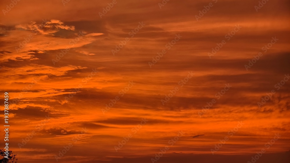 Fototapeta premium sunset in the sky