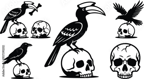Tattoo flash raven and hornbill perched on cracked skulls set of black vector emblems side view bold graphic isolated icons