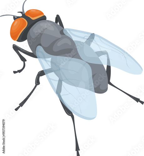 Realistic housefly icon. Creepy creature cartoon mascot