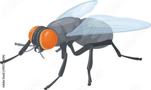 Wildlife insect animal. Realistic house fly icon