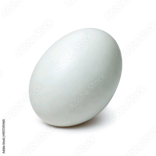 Wallpaper Mural Salted duck egg with light blue shell isolated on white background Torontodigital.ca