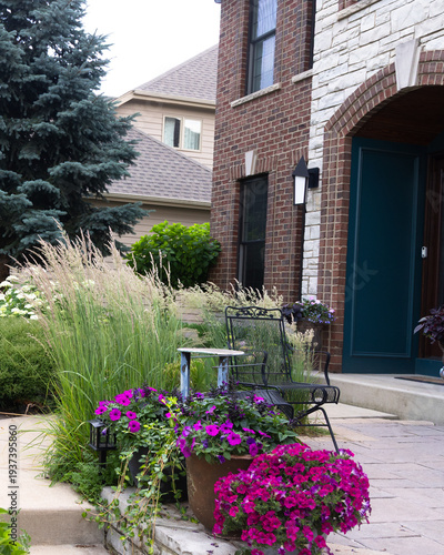 Lush front yard landscaping with ornamental grasses, spruce tree, flowering containers and layered perennial garden beds framing a residential entry walkway, creating inviting curb appeal .