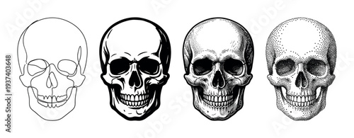 Set of four human skulls illustrated in different artistic styles including line art, graphic stencil, detailed engraving, and stippling for a tattoo or gothic design