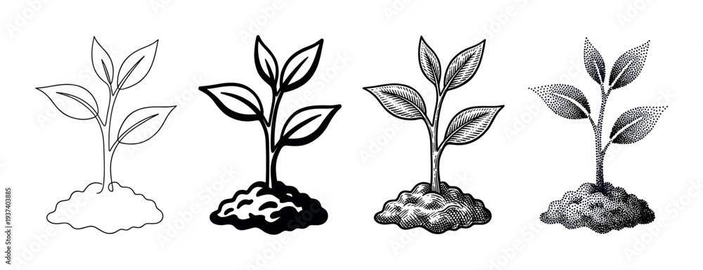 Obraz premium Set of four young plant illustrations showing a sprout growing from soil in different artistic styles including line art, bold icon, vintage engraving, and modern stippling
