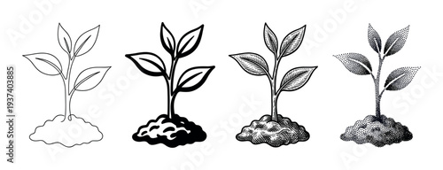 Set of four young plant illustrations showing a sprout growing from soil in different artistic styles including line art, bold icon, vintage engraving, and modern stippling