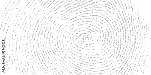 Black ink fingerprint on white background, spiral whorl pattern, forensic identification